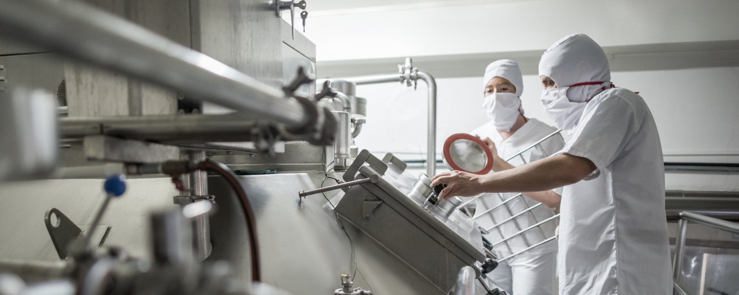 Reffnet Projekt: Molkereibetrieb 