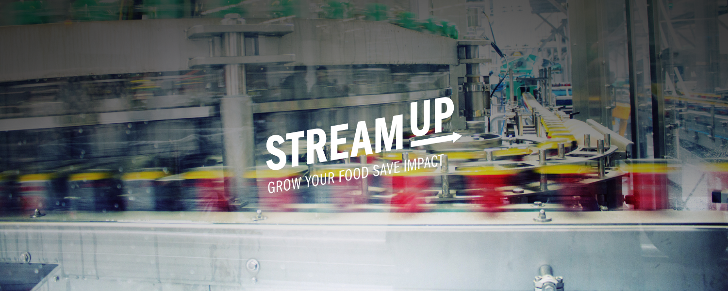 StreamUp – das Mentoringprogramm von UAW